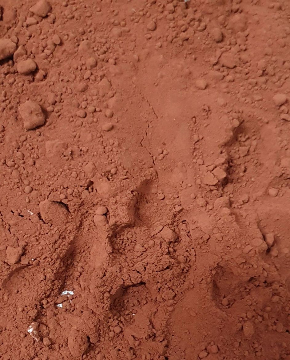 cacao puro ecológico en polvo